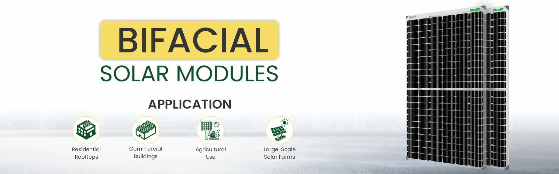 Bifacial Solar Modules