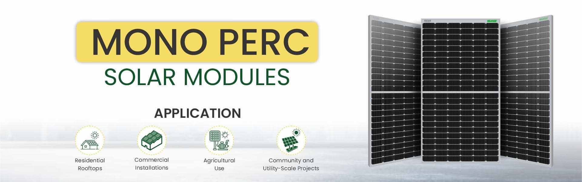 Mono PERC Solar Modules